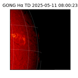 gong - 2025-05-11T08:00:23