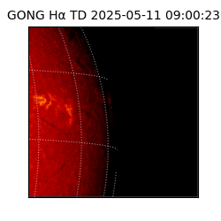 gong - 2025-05-11T09:00:23