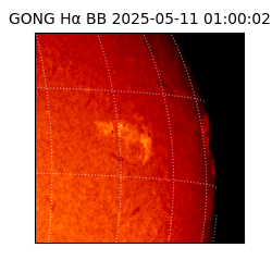 gong - 2025-05-11T01:00:02