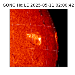 gong - 2025-05-11T02:00:42