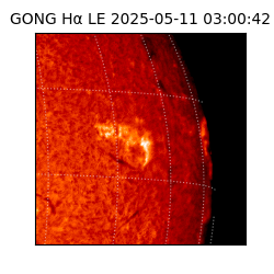 gong - 2025-05-11T03:00:42
