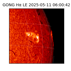 gong - 2025-05-11T06:00:42