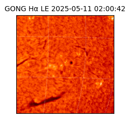 gong - 2025-05-11T02:00:42
