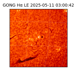 gong - 2025-05-11T03:00:42