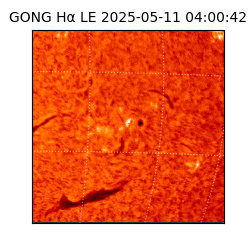 gong - 2025-05-11T04:00:42