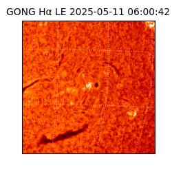 gong - 2025-05-11T06:00:42