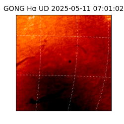gong - 2025-05-11T07:01:02