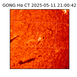 gong - 2025-05-11T21:00:42