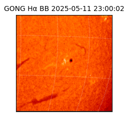 gong - 2025-05-11T23:00:02