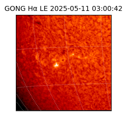gong - 2025-05-11T03:00:42