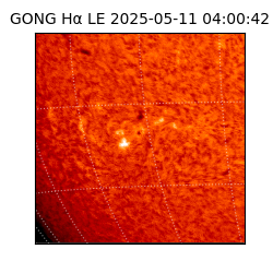 gong - 2025-05-11T04:00:42