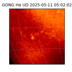 gong - 2025-05-11T05:02:02
