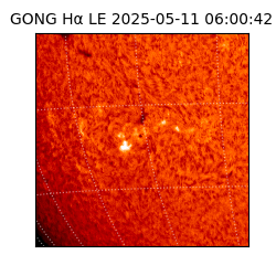 gong - 2025-05-11T06:00:42