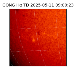 gong - 2025-05-11T09:00:23