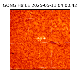 gong - 2025-05-11T04:00:42