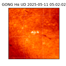 gong - 2025-05-11T05:02:02