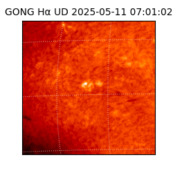 gong - 2025-05-11T07:01:02