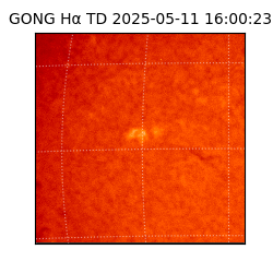 gong - 2025-05-11T16:00:23