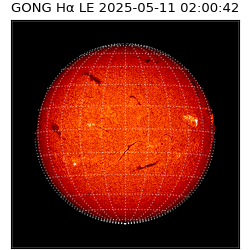 gong - 2025-05-11T02:00:42