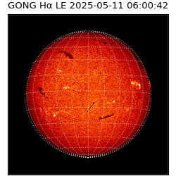 gong - 2025-05-11T06:00:42
