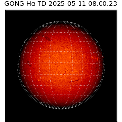 gong - 2025-05-11T08:00:23