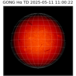 gong - 2025-05-11T11:00:22