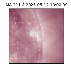 saia - 2025-05-12T10:00:09.626000