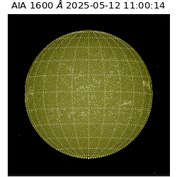 saia - 2025-05-12T11:00:14.126000