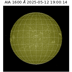 saia - 2025-05-12T19:00:14.125000