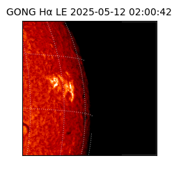 gong - 2025-05-12T02:00:42