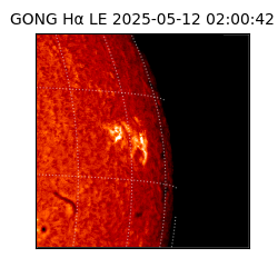 gong - 2025-05-12T02:00:42