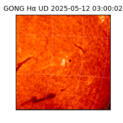 gong - 2025-05-12T03:00:02