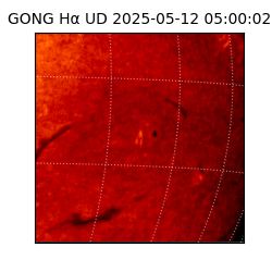 gong - 2025-05-12T05:00:02