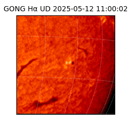 gong - 2025-05-12T11:00:02