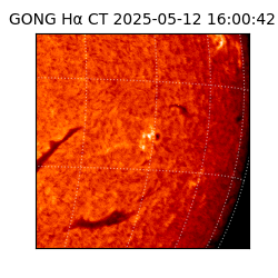 gong - 2025-05-12T16:00:42