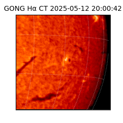gong - 2025-05-12T20:00:42