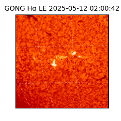 gong - 2025-05-12T02:00:42