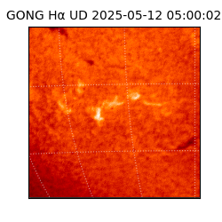 gong - 2025-05-12T05:00:02