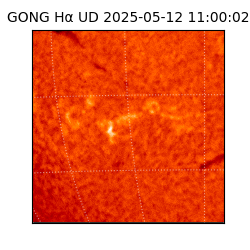 gong - 2025-05-12T11:00:02
