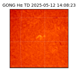 gong - 2025-05-12T14:08:23