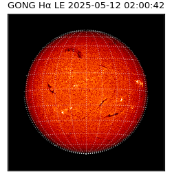 gong - 2025-05-12T02:00:42