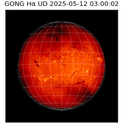 gong - 2025-05-12T03:00:02