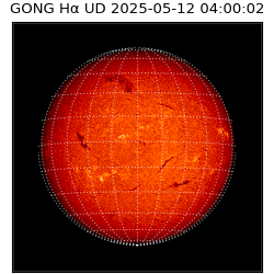 gong - 2025-05-12T04:00:02
