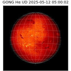 gong - 2025-05-12T05:00:02