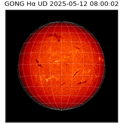 gong - 2025-05-12T08:00:02