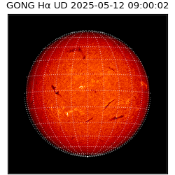 gong - 2025-05-12T09:00:02