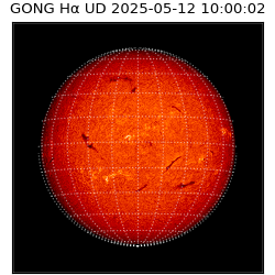 gong - 2025-05-12T10:00:02