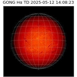 gong - 2025-05-12T14:08:23