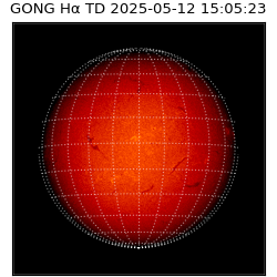 gong - 2025-05-12T15:05:23