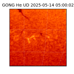gong - 2025-05-14T05:00:02
